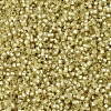 MIYUKI Delica Beads SEED-X0054-DB0687-3