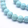 Natural Magnesite Beads Strands TURQ-G148-07-10mm-3