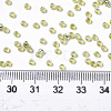 Glass Seed Beads X-SEED-S042-04A-02-4