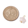 Natural Rose Quartz Star Charms with Brass Loops PALLOY-JF02733-01-2