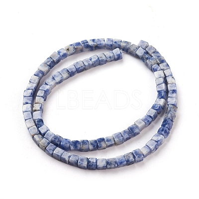 Natural Blue Spot Jasper Beads Strands G-F631-K06-1