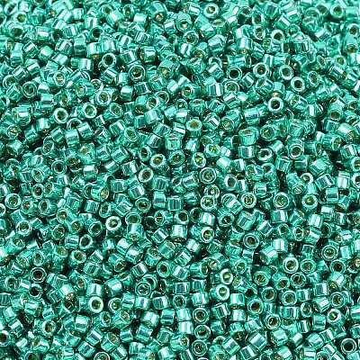 MIYUKI Delica Beads SEED-MY11-DB2505-1