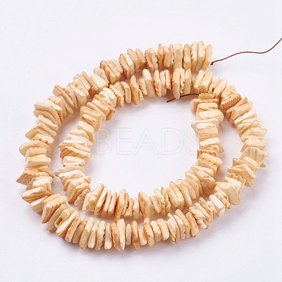 Natural Sea Shell Beads Strands BSHE-K012-08-1