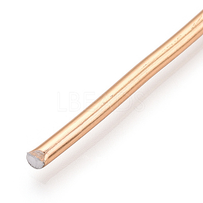 Round Anodized Aluminum Wire AW-S001-2.5mm-28-1