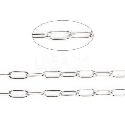 Tarnish Resistant 304 Stainless Steel Paperclip Chains CHS-F010-01D-P-1
