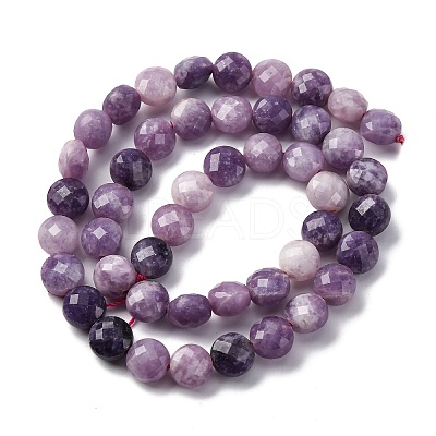 Natural Lepidolite/Purple Mica Stone Beads Strands G-C179-A38-03-1