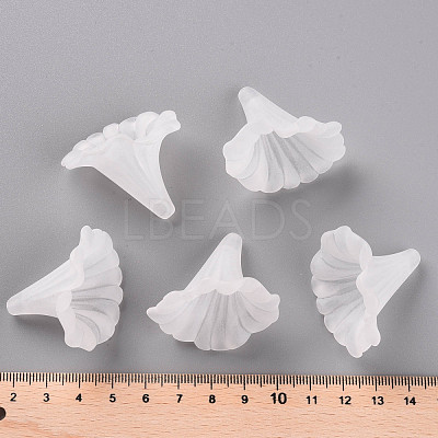 Transparent Acrylic Beads BSF796-1