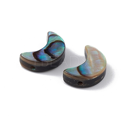 Natural Abalone Shell/Paua Shell Beads SSHEL-M021-05-1
