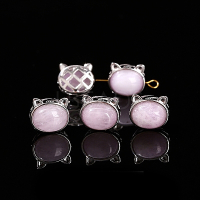 Natural Kunzite Beads PW-WG2C262-06-1