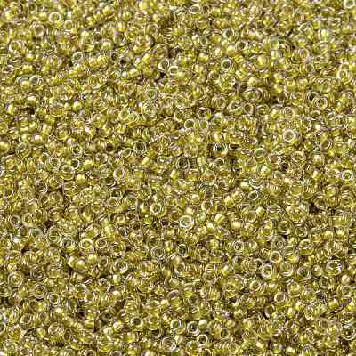 MIYUKI Round Rocailles Beads X-SEED-G009-RR1125-1