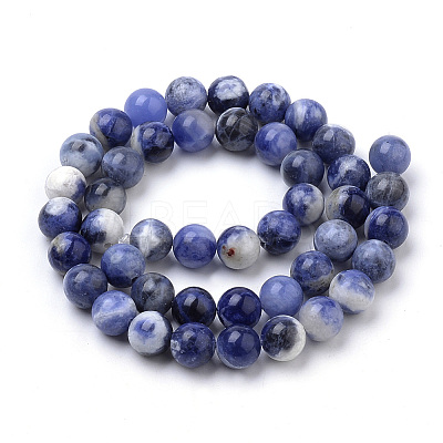 Natural South Africa Sodalite Beads Strands G-S259-35-6mm-1