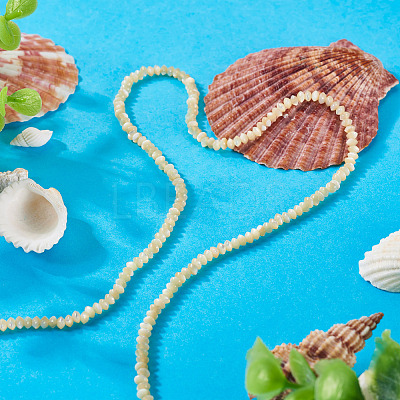 1 Strand Natural Trochus Shell Rondelle Beads Strands SSHEL-TA0001-16B-1