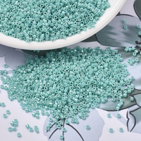 MIYUKI Delica Beads SEED-X0054-DB1576-1