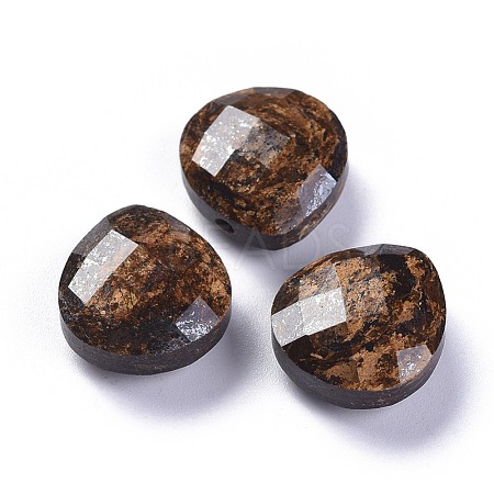 Natural Bronzite Charms G-L547-044E-1