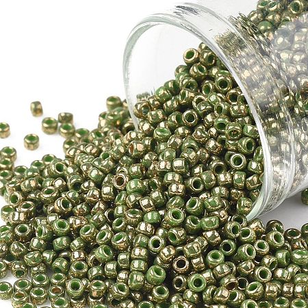 TOHO Round Seed Beads X-SEED-TR11-1702-1