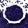 Opaque Baking Paint Glass Seed Beads SEED-T008-02V-2