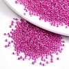 8/0 Glass Seed Beads SEED-A016-3mm-203-1