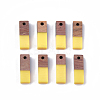 Resin & Wood Pendants RESI-S358-19-M-2