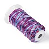 Segment Dyed Round Polyester Sewing Thread OCOR-Z001-B-19-2