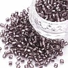 8/0 Glass Bugle Beads SEED-S032-07A-56B-1