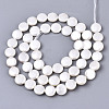 Natural Freshwater Shell Beads Strands SHEL-N026-50A-01-2