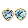 Natural Paua Shell Pendants KK-E059-10G-1