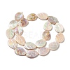 Natural Freshwater Beads Strands SHEL-K006-35-2