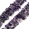 Natural Amethyst Beads Strands G-L551B-08A-1