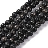 Dyed Natural Regalite/Imperial Jasper/Sea Sediment Jasper Beads Strands G-B124-C02-05-1
