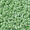 Baking Paint Glass Seed Beads X-SEED-S042-15A-08-3
