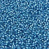 MIYUKI Delica Beads SEED-JP0008-DB1709-3