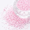 13/0 Glass Seed Beads SEED-T005-14A-A06-1