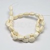 Triangle Natural Magnesite Beads Strands G-M138-28-2