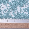 MIYUKI Delica Beads SEED-MY11-DB0217-4