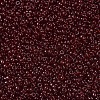 MIYUKI Round Rocailles Beads SEED-X0054-RR2410-3