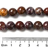 Natural Ocean Jasper Beads Strands G-H298-A13-04-5
