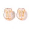 Glass Beads GLAA-T021-76M-01-3