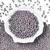 Baking Paint Glass Seed Beads SEED-T006-03Z-1