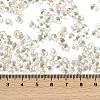 6/0 Spray Paint Fringe Glass Seed Beads X1-SEED-H003-11B-4