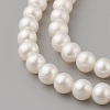 Natural Cultured Freshwater Pearl Beads Strands PEAR-G007-24-01-3