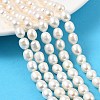 Natural Cultured Freshwater Pearl Beads Strands PEAR-I007-01D-01A-1