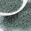 MIYUKI Round Rocailles Beads SEED-X0056-RR3741-1