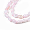 Natural Freshwater Shell Beads Strands X-SHEL-N003-25-B06-3