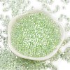 6/0 Inside Colours Fringe Glass Seed Beads X1-SEED-A034-03E-2