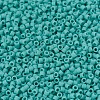 MIYUKI Delica Beads SEED-X0054-DB0759-3