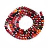 Glass Beads Strands GLAA-T006-16A-2