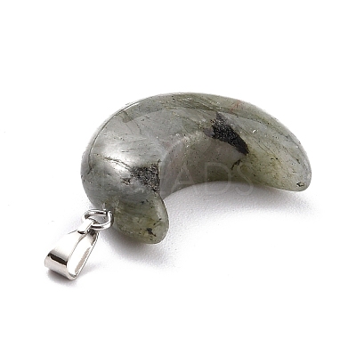 Natural Labradorite Pendants G-Z022-02A-1