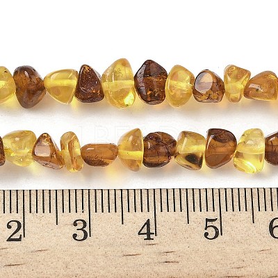 Natural Amber Beads Strands G-L095-E01-03-1