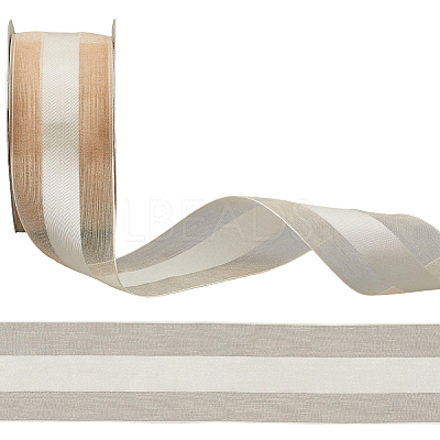 Polyester Ribbon OCOR-WH20013-005E-1