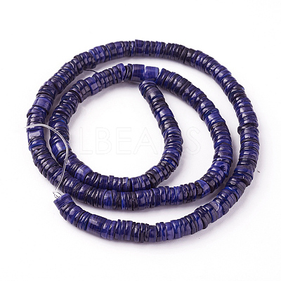 Shell Beads Strands X-SSHEL-E571-49F-1